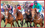Horse Racing